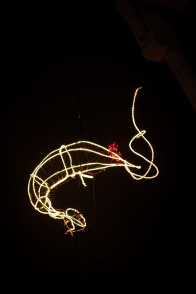 New Year's Eve Shrimp Drop